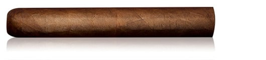 Tasting Cigar – Horacio 1 Classic Gordo