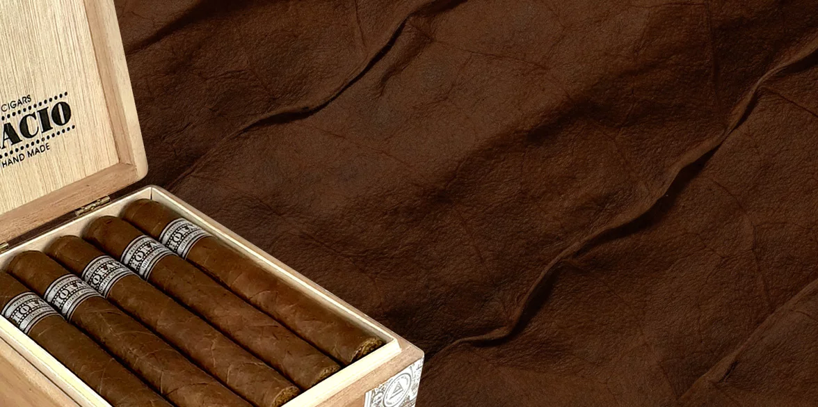 Cigar Horacio 1 Classic serie - Cigar of the year 2023 Cigaroscope